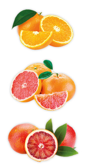 Vino-de-Naranja---Frutas-Elaboración